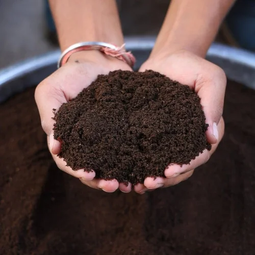 Vermicompost